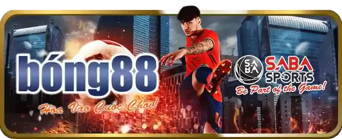 Quy định cá cược an toàn